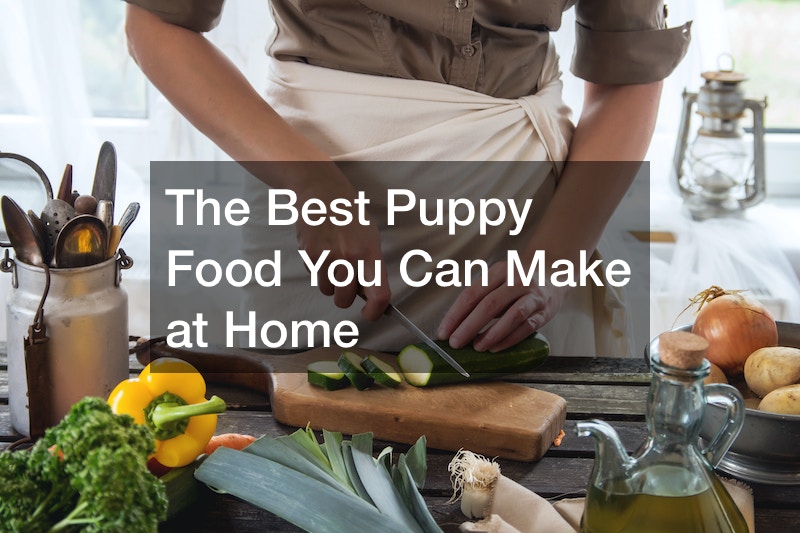 The Best Puppy Food You Can Make at Home Mom Recipes